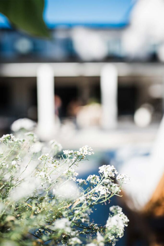 Close up of a flower